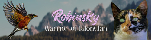 Robin signature.jpg