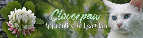 Clover signature.jpg