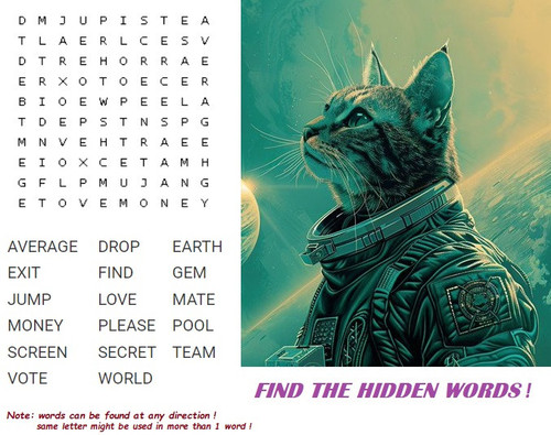 HIDDEN last.jpg