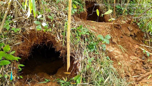 449856276 1918816755204719 2805170055418944552 n.jpg