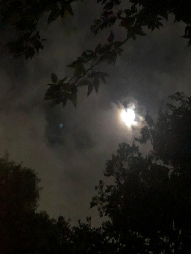 IMG 20240702 104821 805.jpg