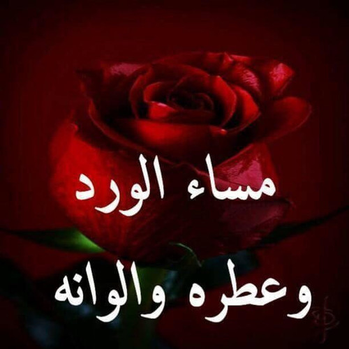 IMG 20240603 WA0006.jpg