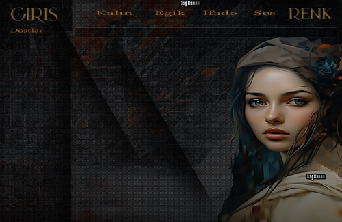 Başörtülü Bayan Teması.jpg