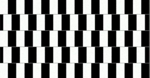 18366853307142486959?url=https%3A%2F%2Fdk news.com%2Fwp content%2Fuploads%2F2024%2F07%2Fliilll.webp&.jpg