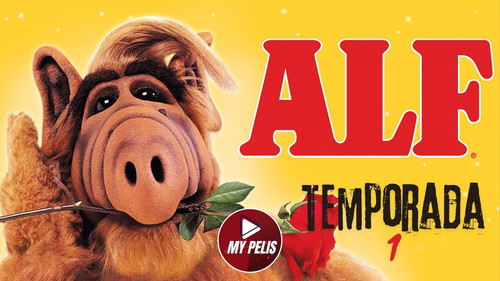 Copia de Copia de Copia de Copia de Red Modern Gamer Girl YouTube Outro (2).jpg