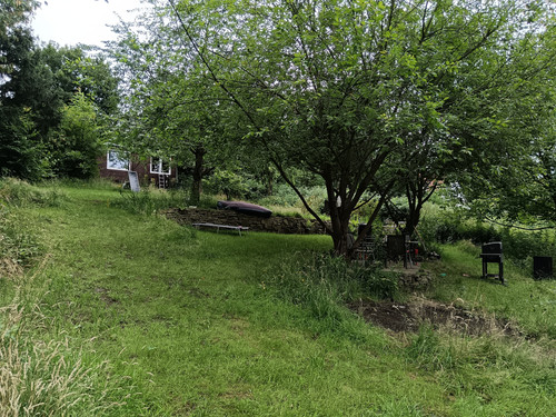 IMG 20240706 134543.jpg