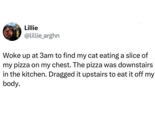 449974803 806032428301528 3400765456574137578 n.jpg