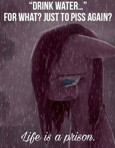 AB5D95ED F835 4BD6 873A A7CEAA6D69DB.jpg