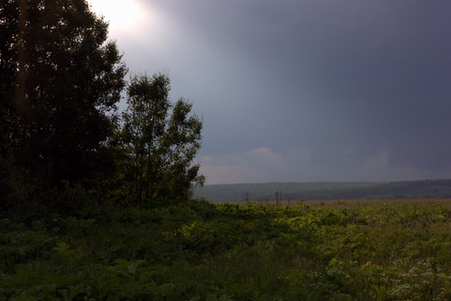 IMG 2077.jpg