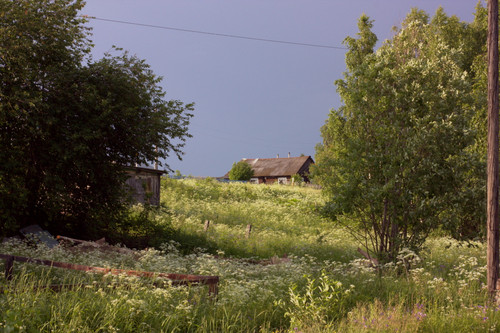 IMG 2064.jpg