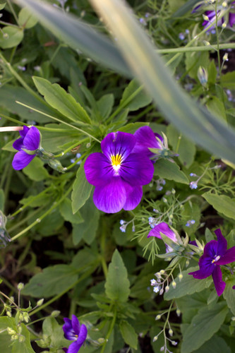 IMG 2120.jpg