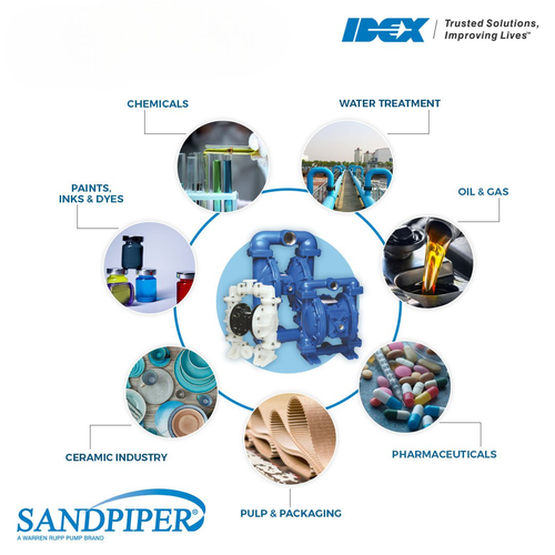 The Advantages of Sandpipers: A Comprehensive Guide.png