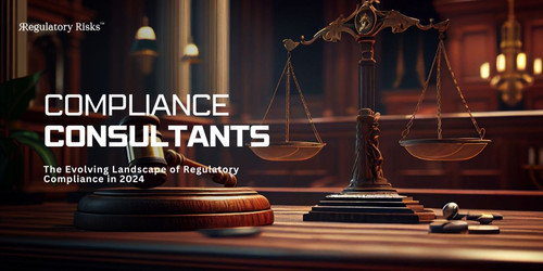 Ready-Made Website Scripts: Top Picks for Entrepreneurs.jpg