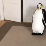 pingudogi.gif