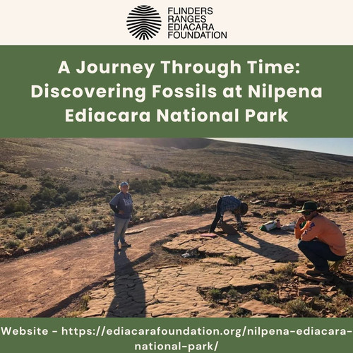 A Journey Through Time Discovering Fossils at Nilpena Ediacara National Park.jpg