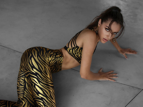 leginassrt 286Gold Zebra Leggings Unisex Party Pants Rave Tights Festival Clothing Playa wear Animal