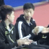 IMG 6643.gif