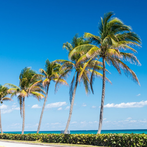 Happy World Oceans Day from beautiful West Palm Beach!.jpg