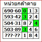 หน่วย.jpg