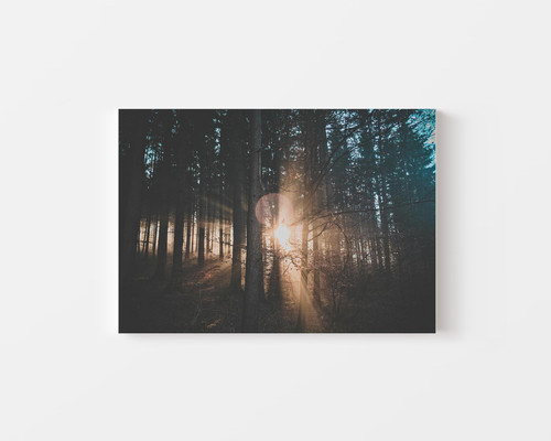 Foggy Sunset Rays v1.jpg