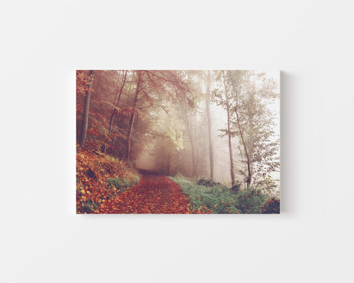 Autumn Leaves Path v1.jpg