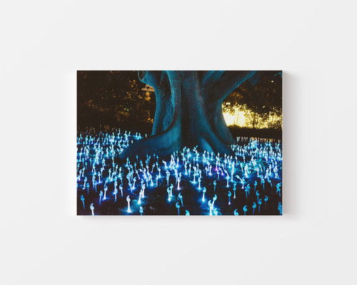 Glowing Night Trees v1.jpg