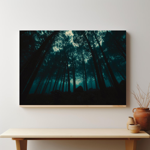 Foggy Evening Forest v2.jpg