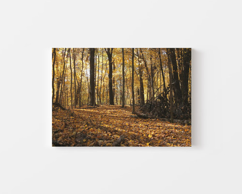 Golden Autumn Trail v1.jpg