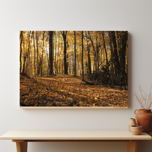 Golden Autumn Trail v2.jpg