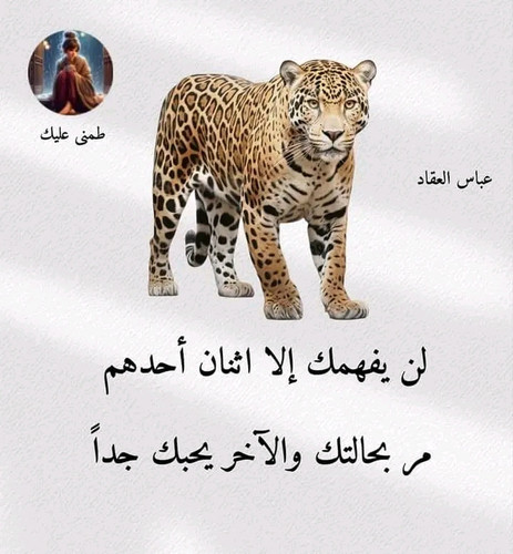 FB IMG 17197377597391261.jpg