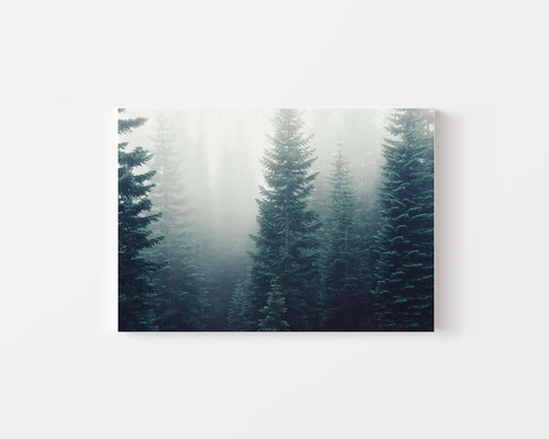 Mystical Foggy Forest v1.jpg