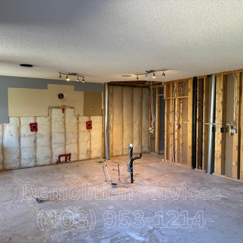 demolition1.jpg