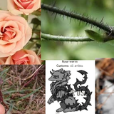 9824aec98eb0188239507e9531e731c4