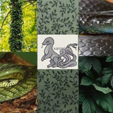 60eff3c2b78104a18d3d10013794dc55