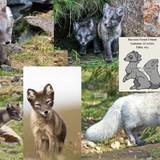 5165bf0aabf53695d224f3d8172a20ff