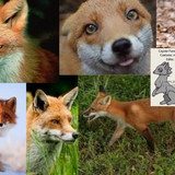 b6fae7738427c5c6562cbe38ecd8ea9f