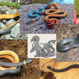 b3ab673e388979df5684c06b07a403bd