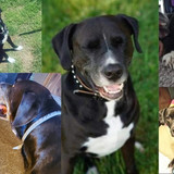 7db757aef18c846b812b7e9217c8e10e