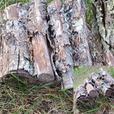 c135843fd1c4d7d0d5f4c4af0dc4add7