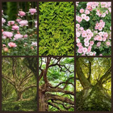 woodsy moodboard 2.5