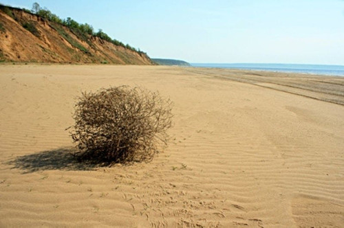 2 hvqmbt2D4HIUPg54WHQHRw.jpg