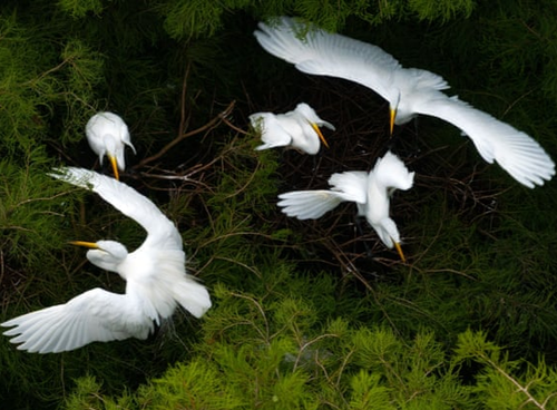 Screenshot 20240630 134709 692.png