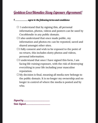 Sissy exposure agreement Benjamin Fiegl.png