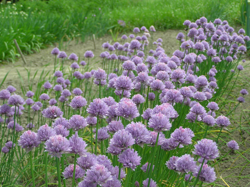 42efbb52 7eba 469b a7ea 79d53cc64fe8.jpg