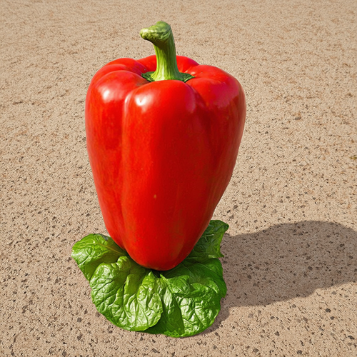 1d91f4a6a73a.png
