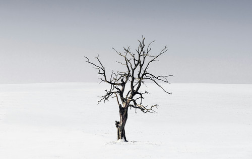michal zych qV8VSz zgkE unsplash.jpg