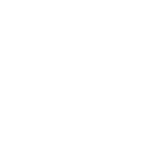 rs21.png