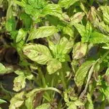 9495e312 c840 43b8 8721 457622f11dc3.jpg