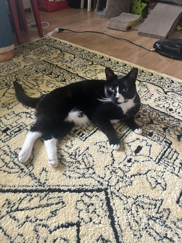 449660548 1669040397165016 5589549821318097324 n.jpg