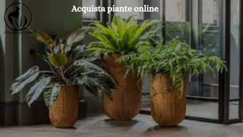 Acquista piante online.jpg